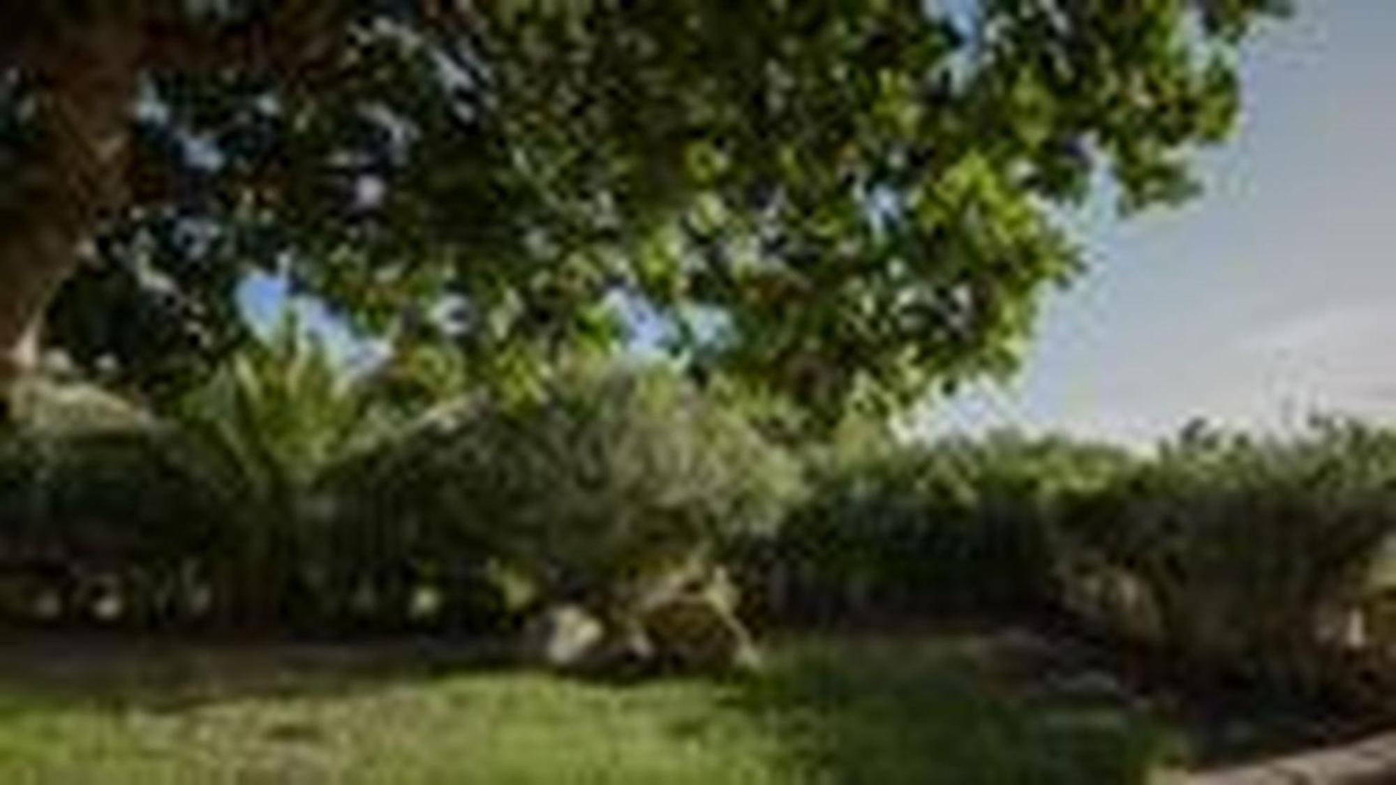 קוסטה ריי Welcomely - Villa Adele מראה חיצוני תמונה
