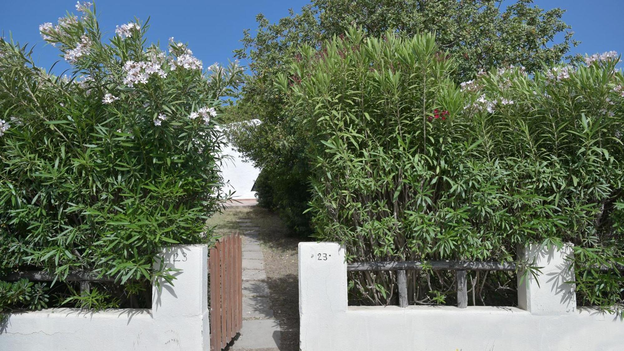 קוסטה ריי Welcomely - Villa Adele מראה חיצוני תמונה